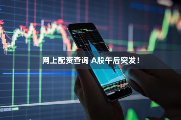网上配资查询 A股午后突发！