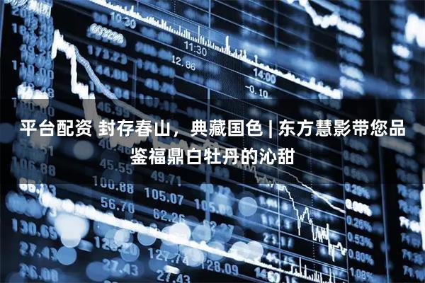 平台配资 封存春山，典藏国色 | 东方慧影带您品鉴福鼎白牡丹的沁甜