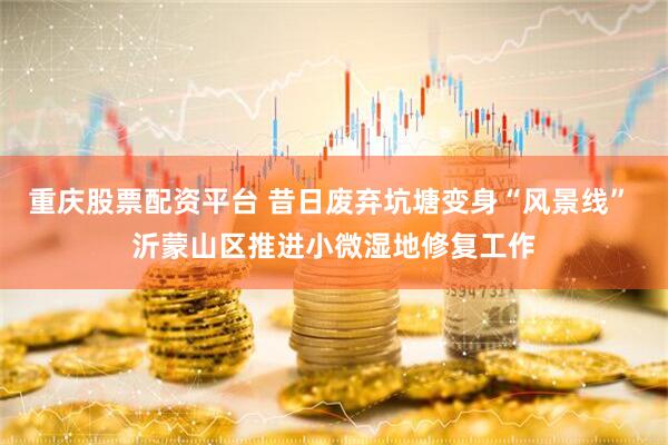 重庆股票配资平台 昔日废弃坑塘变身“风景线” 沂蒙山区推进小微湿地修复工作